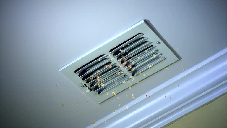 Best Affordable Duct Cleaning Services  in Bright, IN
